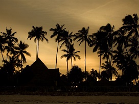 Zanzibar Casa del