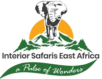 Interior Safaris EA – Uganda – Rwanda – Tanzania